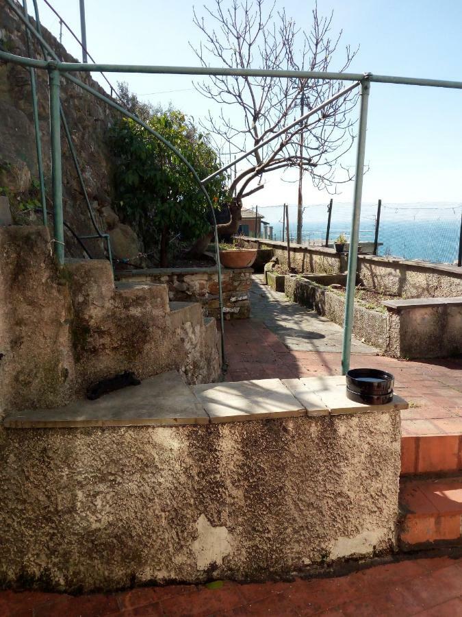 Apartamento Casa Picasso Génova Exterior foto